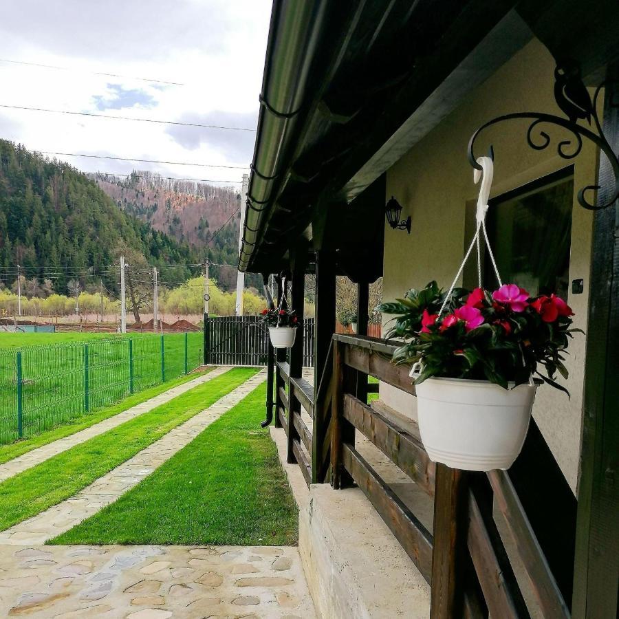 Vila Ograda Bunicilor Hura-Humora Exteriér fotografie